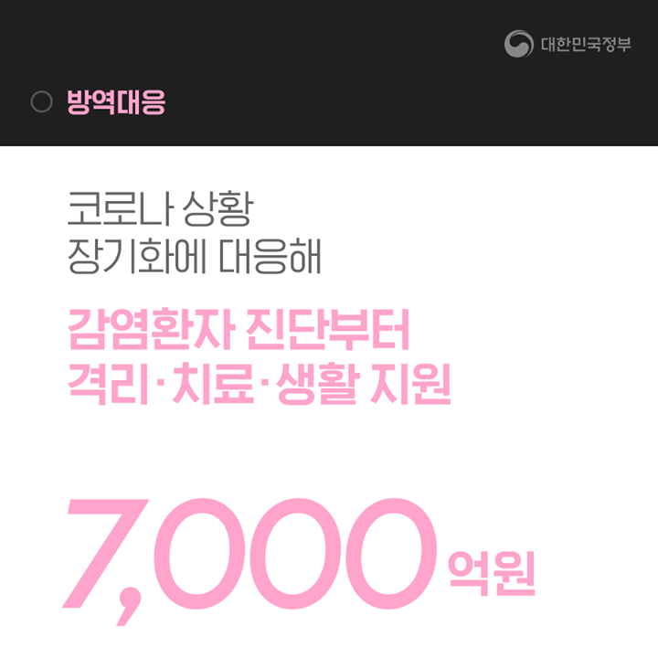 방역대응(7000억원)