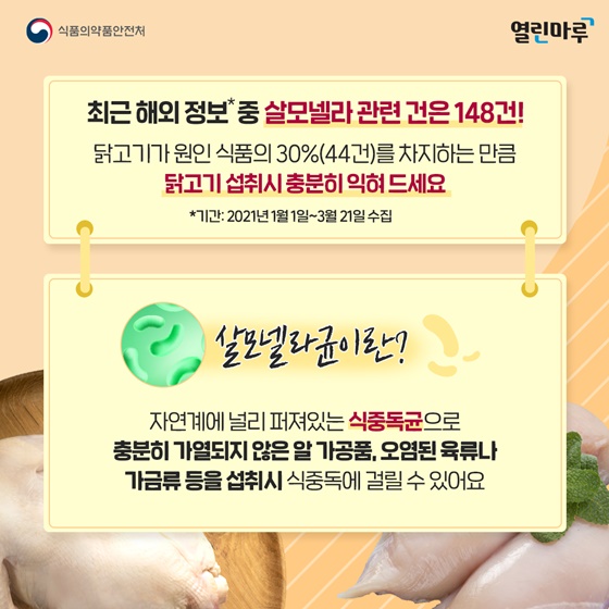 살모넬라균이란?