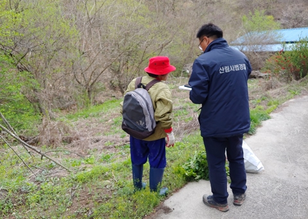 임산물 불법채취 금지