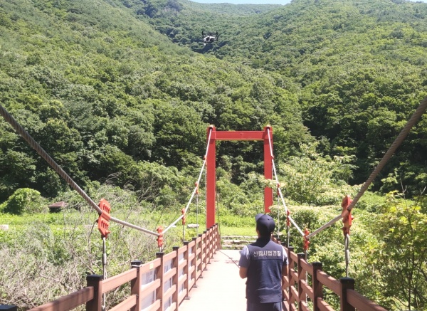 임산물 불법채취 금지