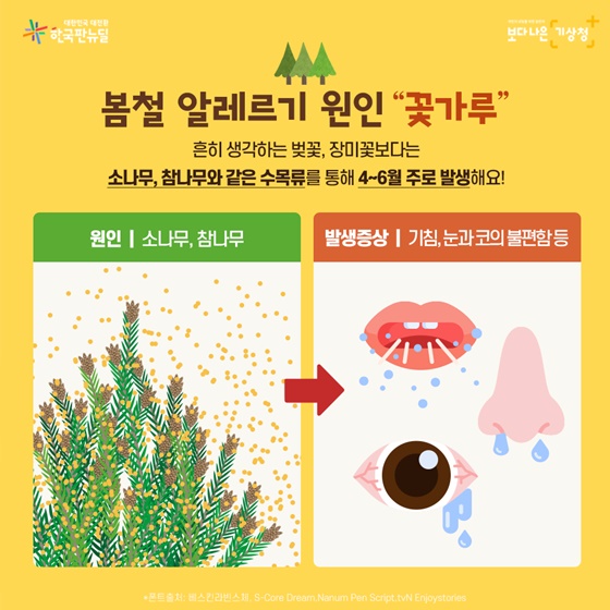 봄철 알레르기 원인 “꽃가루”