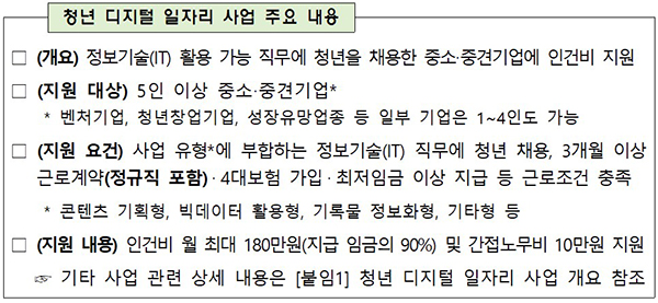 청년 디지털 일자리 사업 주요 내용