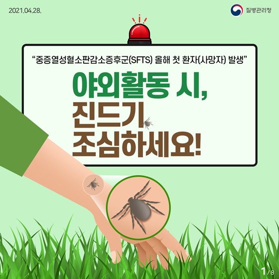 야외활동 시, 진드기 조심하세요!!
