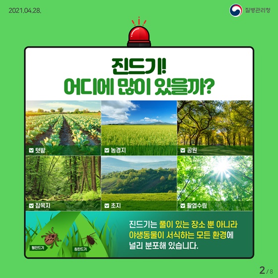 진드기! 어디에 많이 있을까?