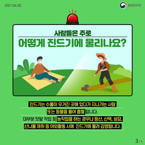 Q. 사람들은 주로 어떻게 진드기에 물리나요?