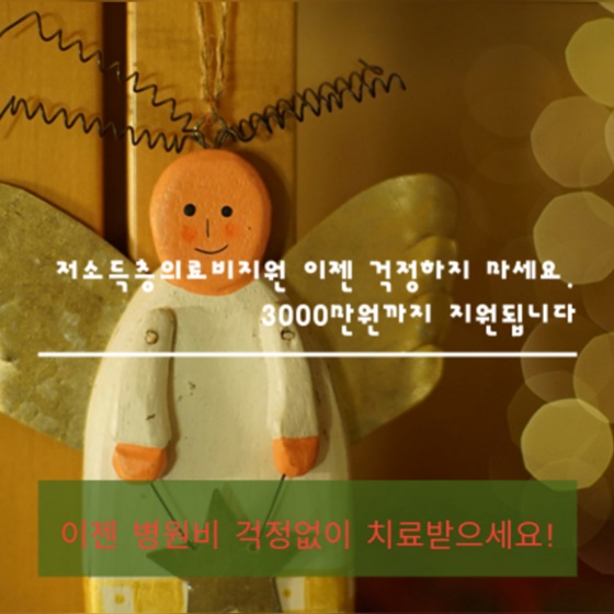 3000만원까지 지원됩니다.