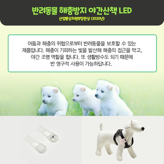 반려동물 해충방지 야간산책 LED