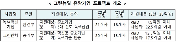 그린뉴딜 유망기업 프로젝트 개요.