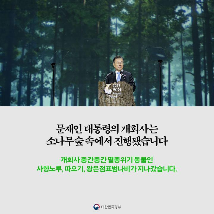 문재인 대통령의 개회사는 소나무숲 속에서 진행됐습니다