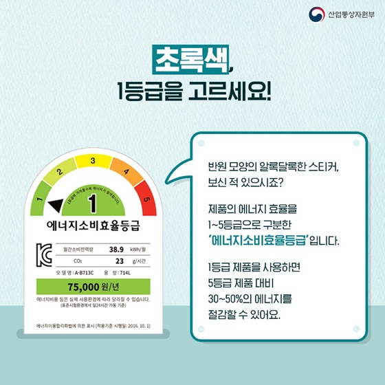 초록색, 1등급을 고르세요!