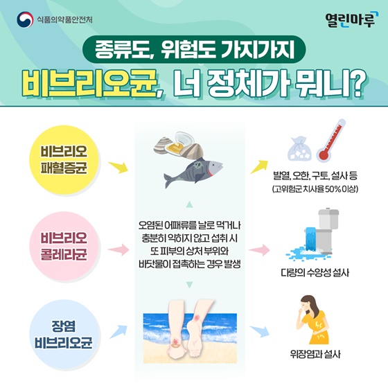 종류도, 위험도 가지가지. 비브리오균, 너 정체가 뭐니?