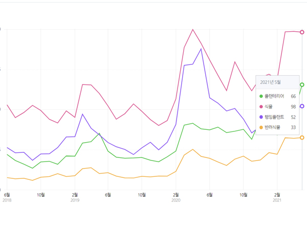 증가하고 있는 반려식물 관련 검색량 (출처=네이버 데이터랩)