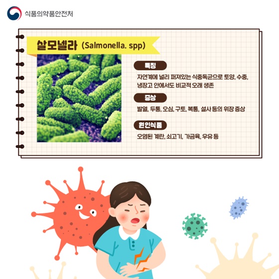 삼계탕 먹을 때 특히 주의해야 할 식중독 ‘살모넬라’