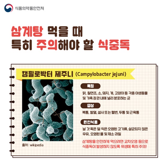 삼계탕 먹을 때 특히 주의해야 할 식중독 ‘캠필로박터 제주니’