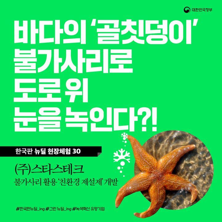 불가사리 이미지