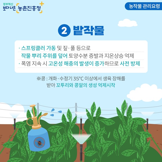 밭작물