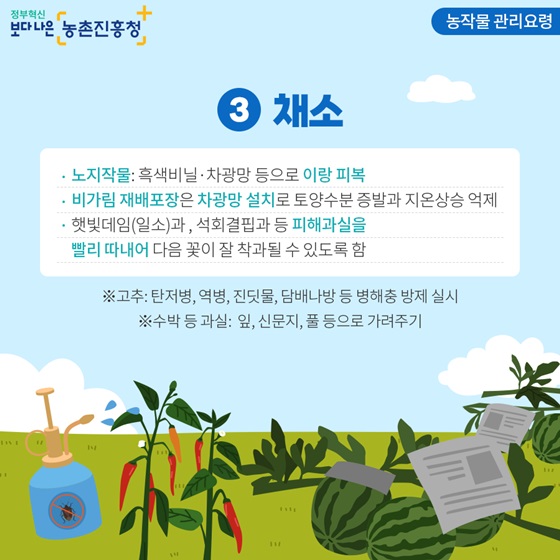 채소