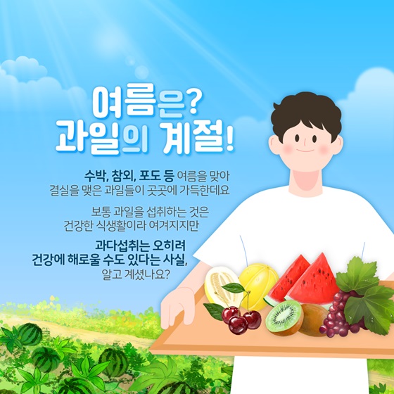 여름은? 과일의 계절!