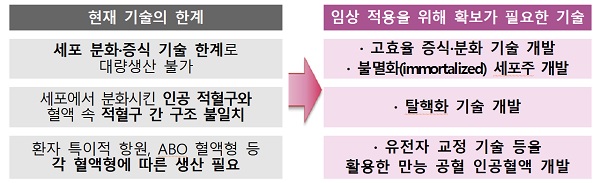 인공혈액 세포 분화 및 증식 기술 개발 지원