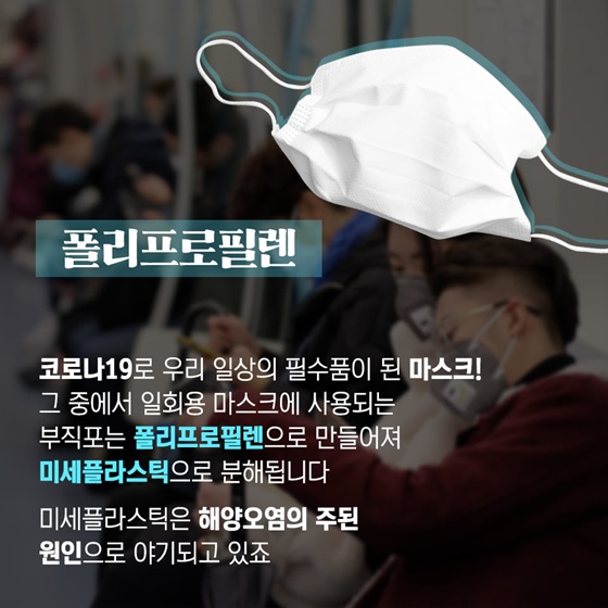 폴리프로필렌