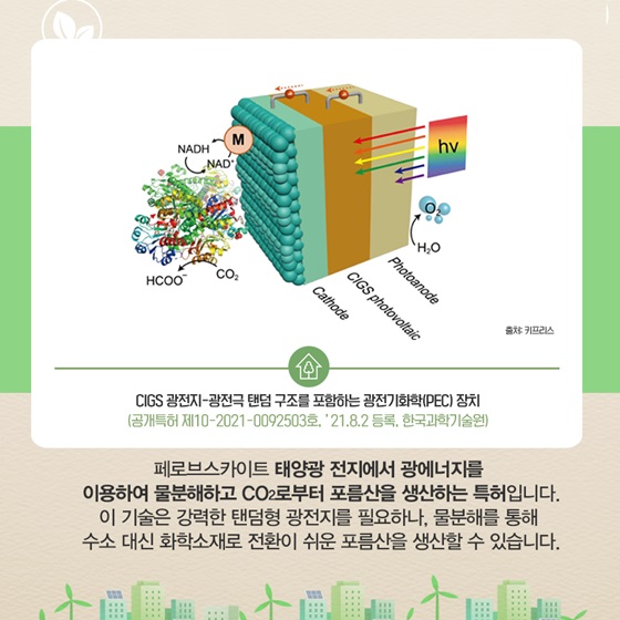 CIGS 광전지 - 광전극 탠덤 구조를 포함하는 광전기화학(PEC) 장치