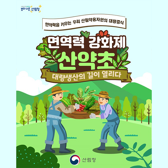 면역력 강화제 ‘산약초’ 대량생산의 길이 열리다