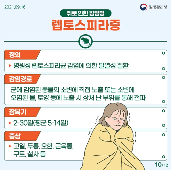 렙토스피라증