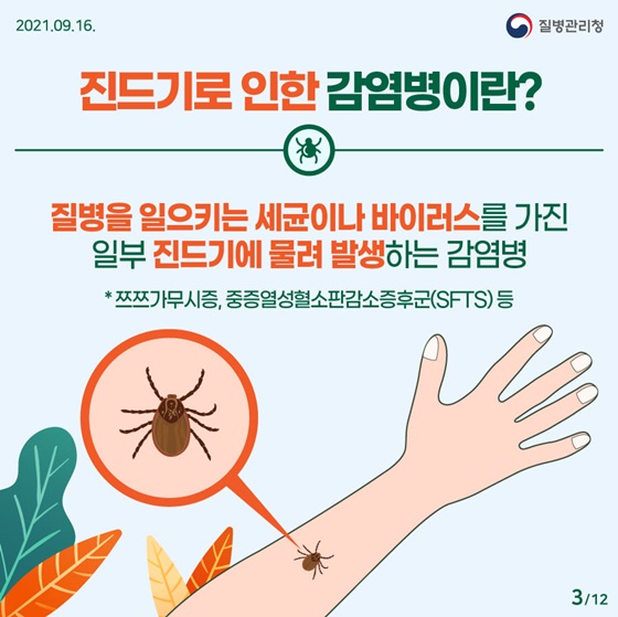 진드기로 인한 감염병이란?