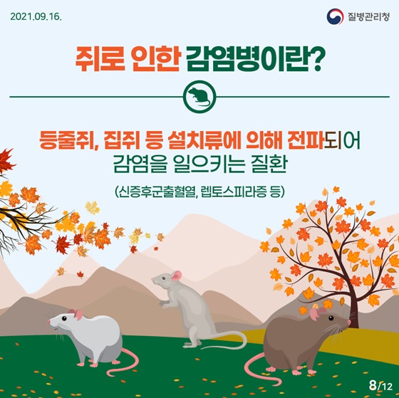 쥐로 인한 감염병이란?