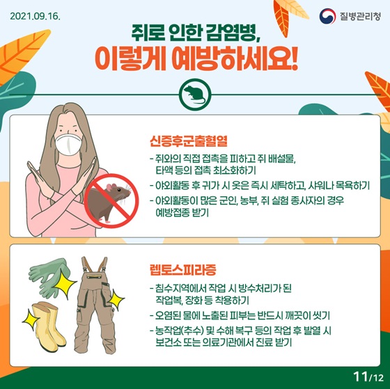 쥐로 인한 감염병, 이렇게 예방하세요!