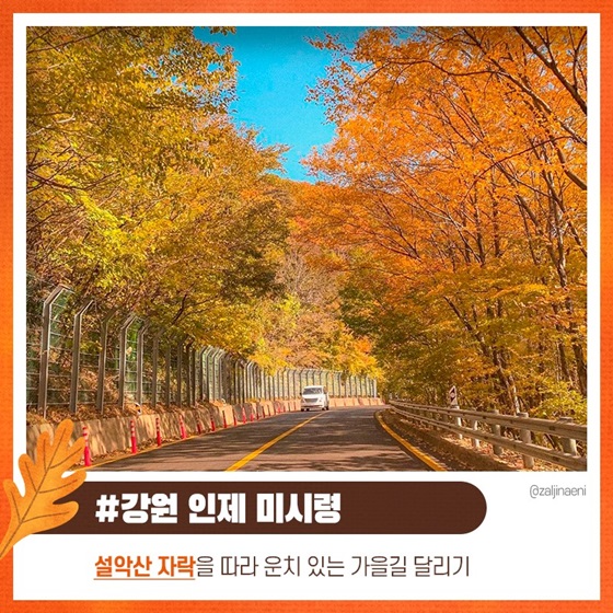 #강원 인제 미시령