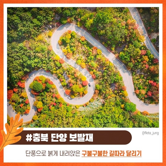 #충북 단양 보발재