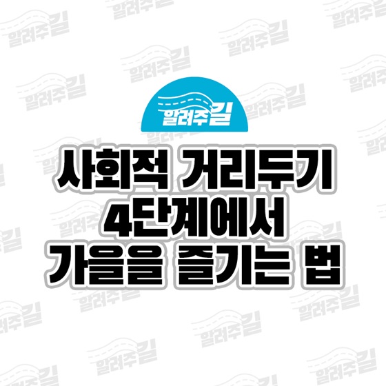 사회적 거리두기 4단계에서 가을을 즐기는 법