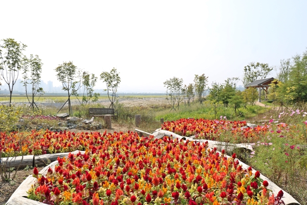 국립세종수목원