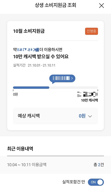 신청한 카드사의 앱으로 상생소비지원금과 관련한 각종 정보를 조회할 수 있다.