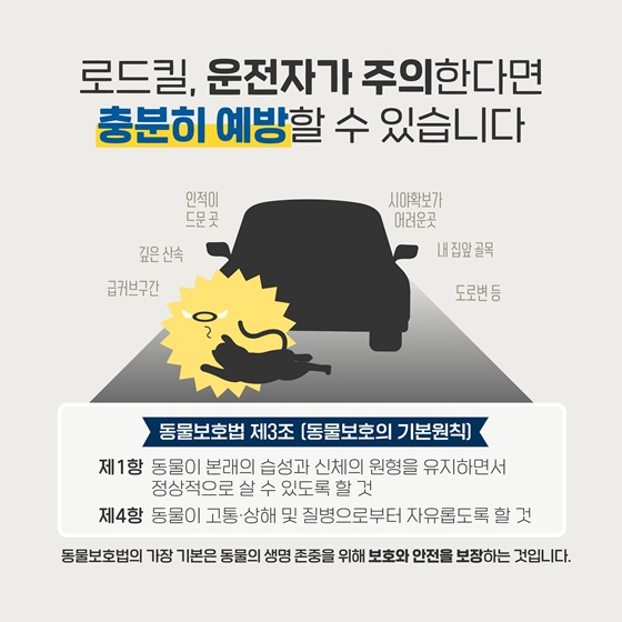 로드킬, 운전자가 주의한다면 충분히 예방할 수 있습니다.