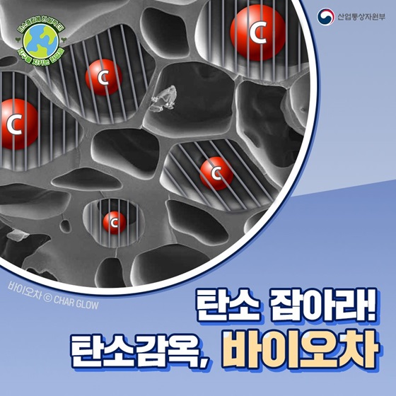 탄소 잡아라! 탄소감옥, 바이오차