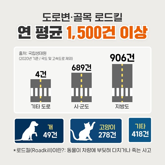 도로변·골목 로드킬 연 평균 1,500건 이상