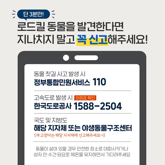 로드킬 동물을 발견한다면, 지나치지 말고 꼭 신고해주세요!