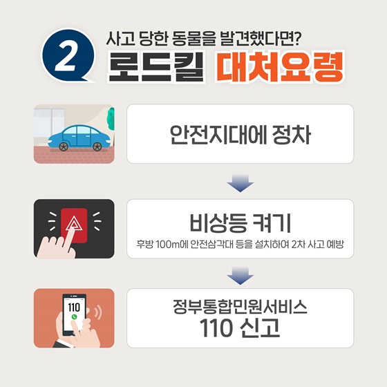 2. 사고 당한 동물을 발견했다면? 로드킬 대처요령