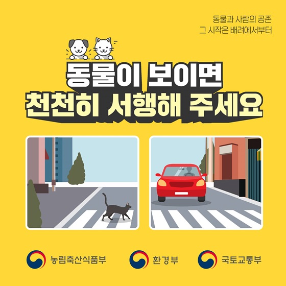동물이 보이면 천천히 서행해주세요