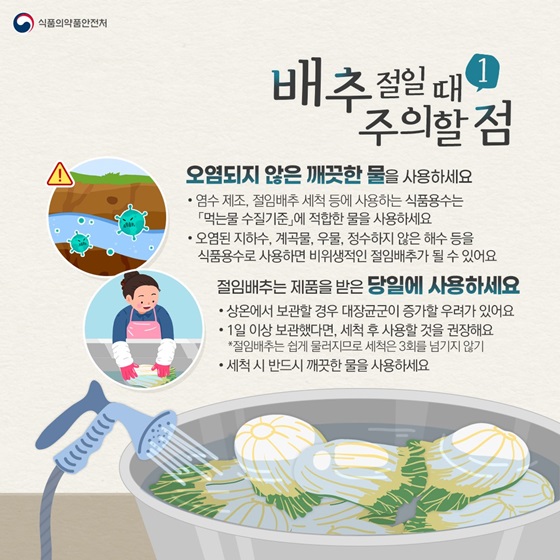 배추절일 때, 주의할 점