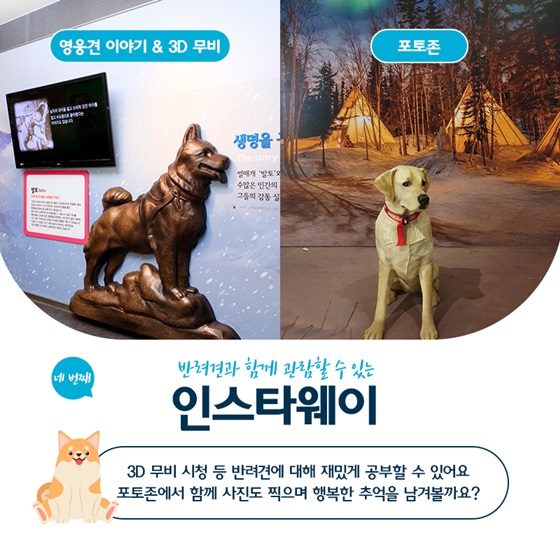 반려견과 함께 관람할 수 있는 인스타웨이