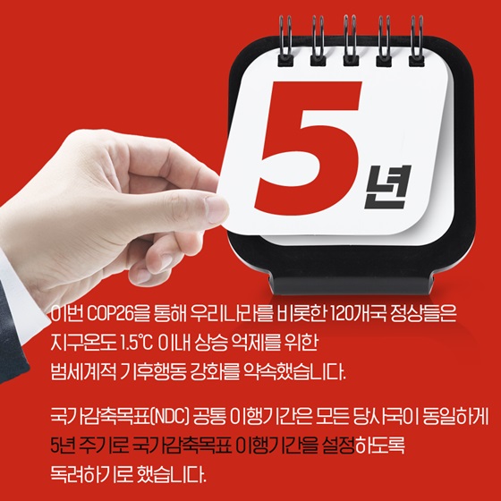 5년