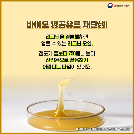 바이오 항공유로 재탄생!