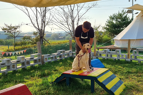 에코왕곡마을에서 반려견과 함께 체험프로그램에 참여 중인 관광객의 모습.