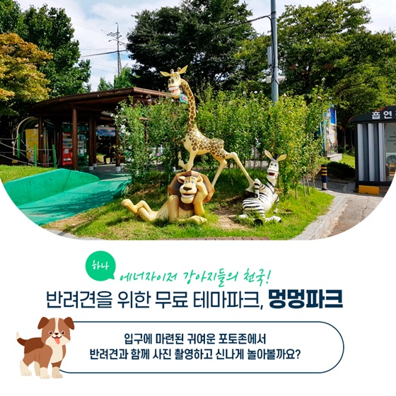 에너자이저 강아지들의 천국! 반려견을 위한 무료 테마파크, 멍멍파크