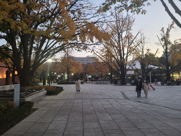 혜화역 마로니에 공원