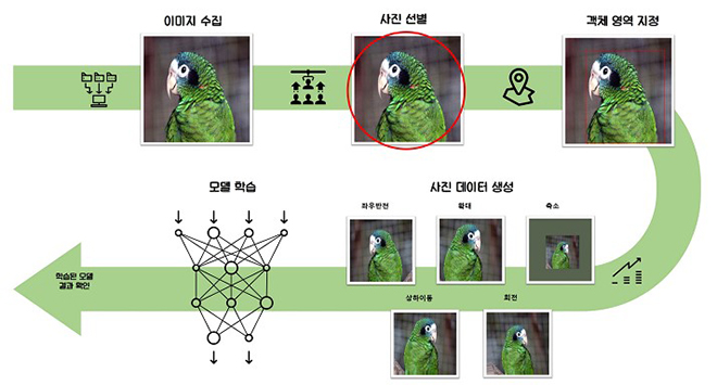 딥러닝 기반 객체인식 기술을 이용한 앵무새 종 판별 연구 체계도.