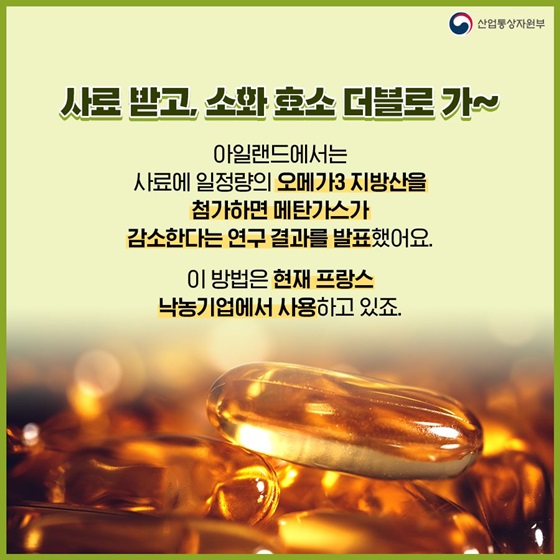 사료 받고, 소화 효소 더블로 가~